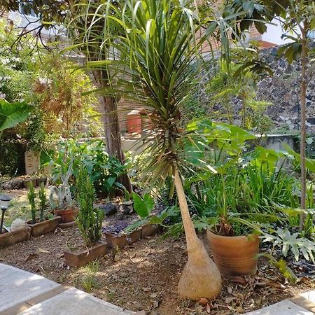 Linda Casa En Tepoztlan Centro 1 Villa Dış mekan fotoğraf