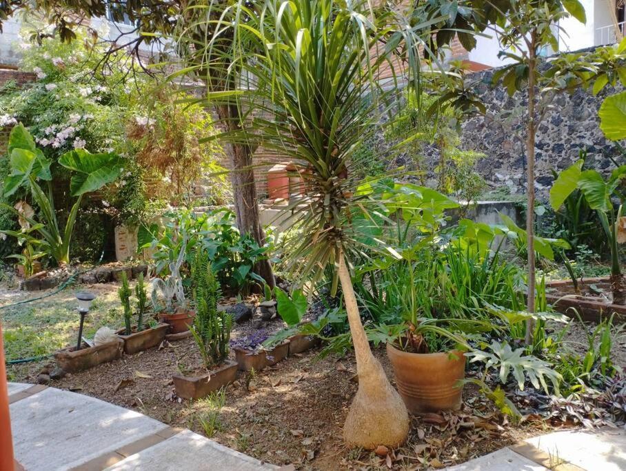 Linda Casa En Tepoztlan Centro 1 Villa Dış mekan fotoğraf